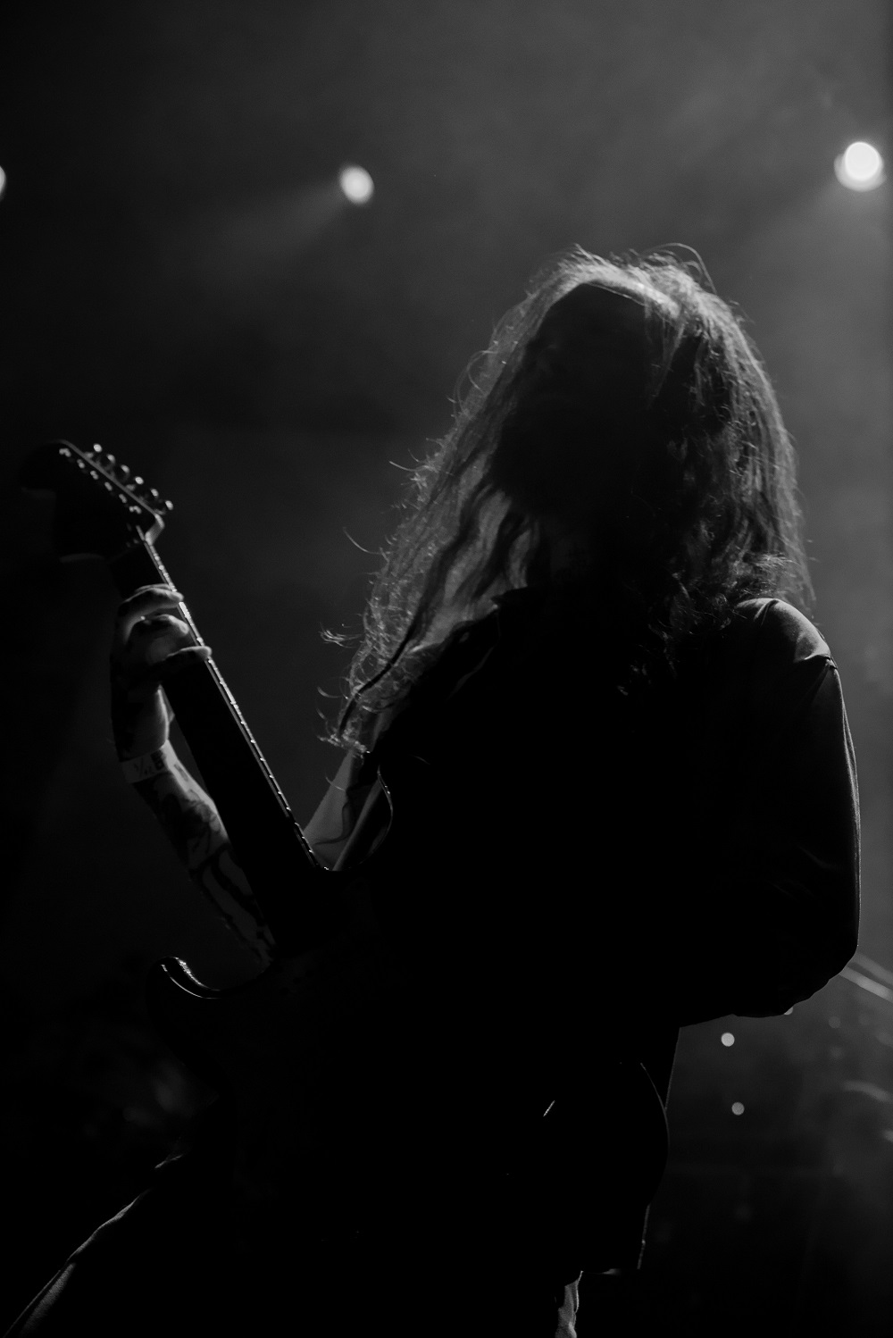 Temple Fang - Photo by Teddie Taylor